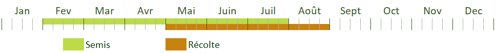 Calendrier de culture